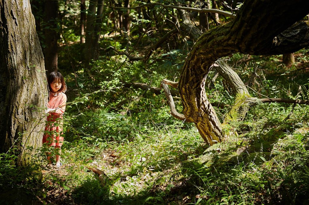 2017 - No Sigas las voces