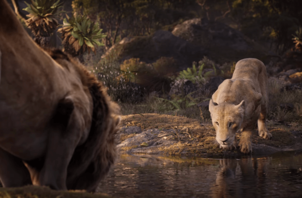 el rey leon teaser esta noche es para amar